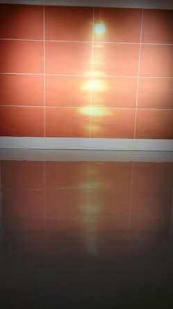 ガボミ瀬戸内海