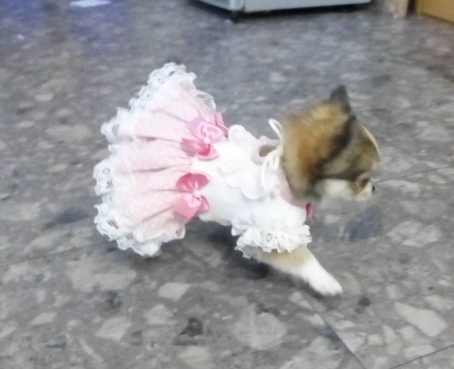 P1510018