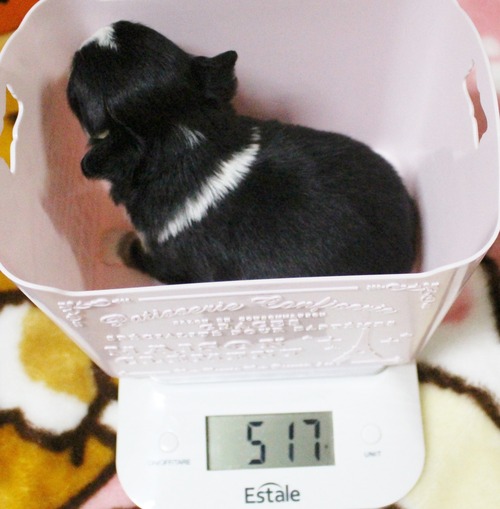 お~クン 28日目