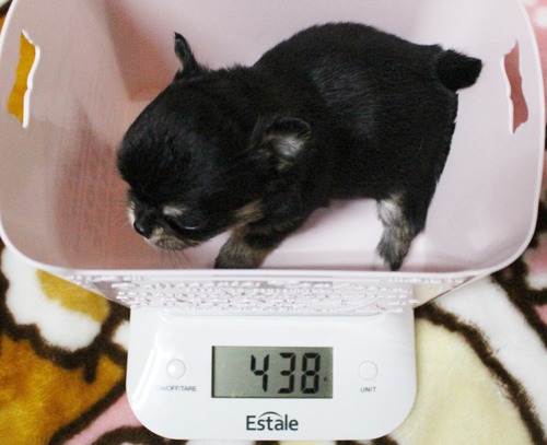 あき 28日目