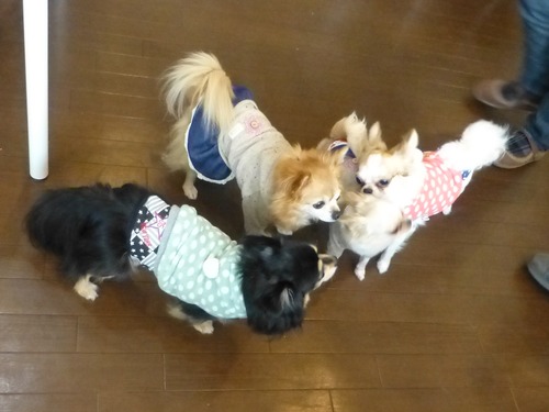 20150215オフ会