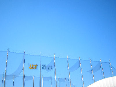 c0feb034.jpg