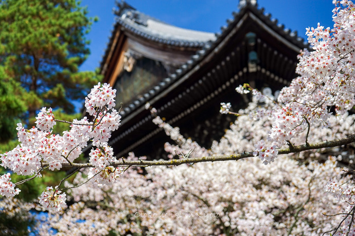0407京都4月-30