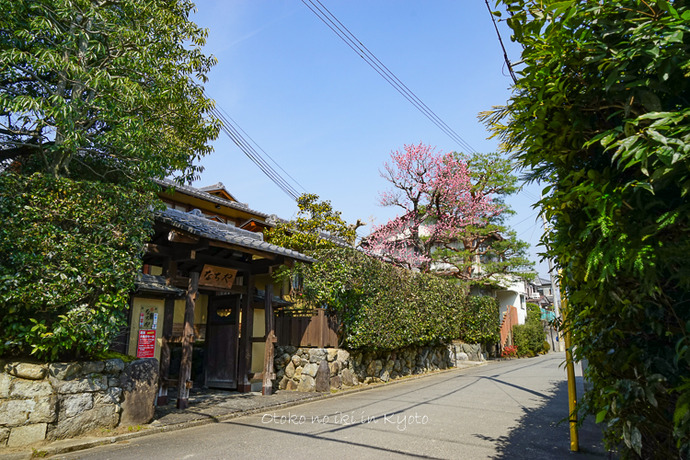 0402京都3月-169