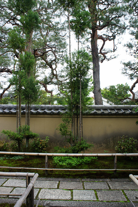 0610大徳寺5月-25