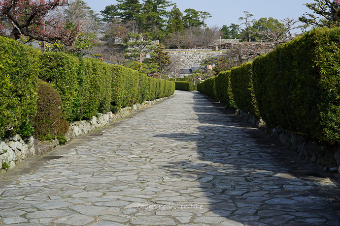 0620松阪3月-2