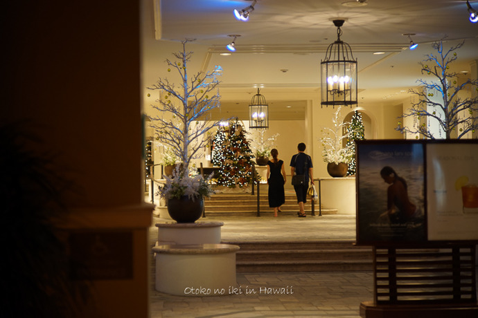 0218Moana412月-25