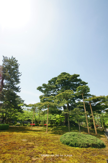 0825-15兼六園