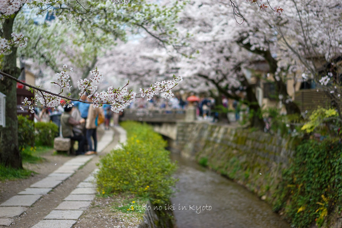 0407京都4月-88
