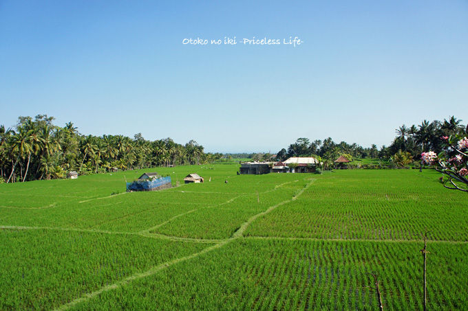 1002-61Bali