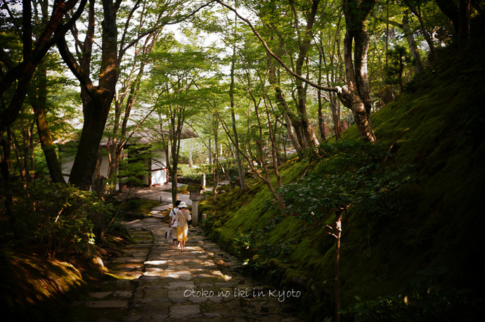 1004常寂光寺8月-14