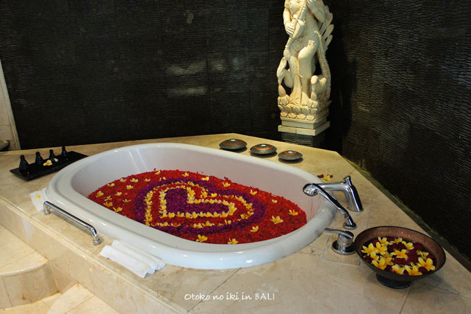 0518-4ViceroySpa