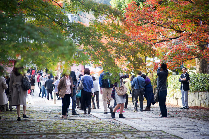1214Kyoto11月-13