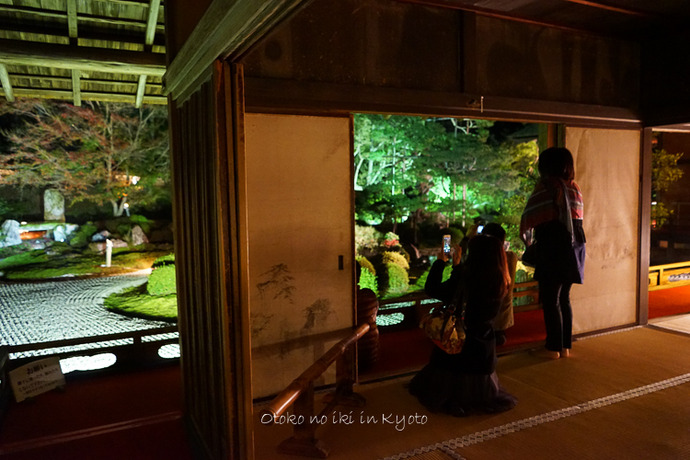 1214Kyoto11月-26