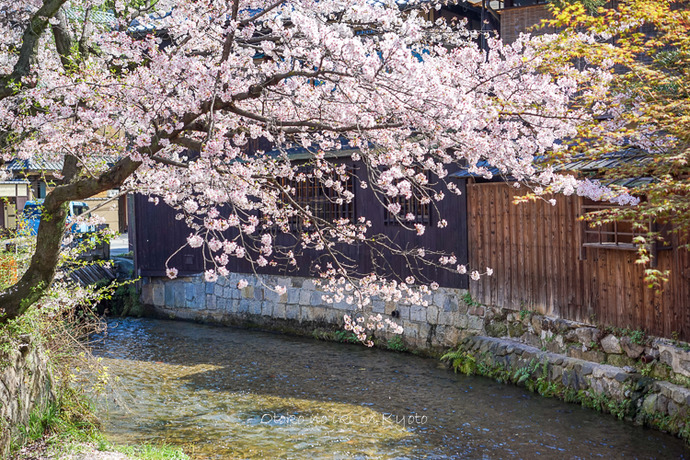 0407京都4月-12