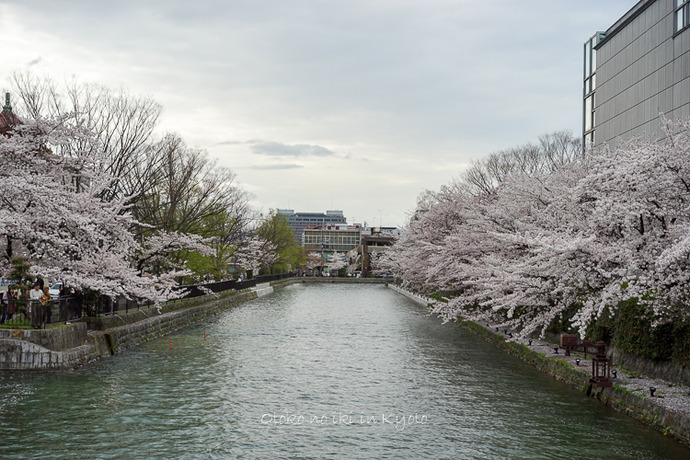 0407京都4月-110