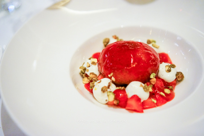 0623Galvin4月-27