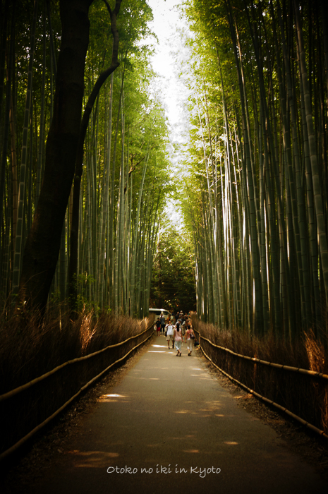 0808天龍寺8月-15