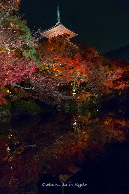 1128京都-15