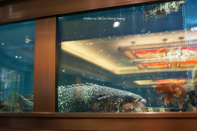 0305-25魚