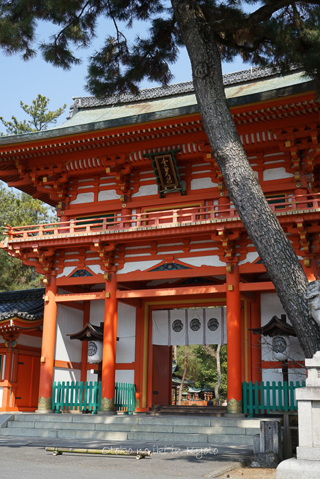 0402京都3月-172