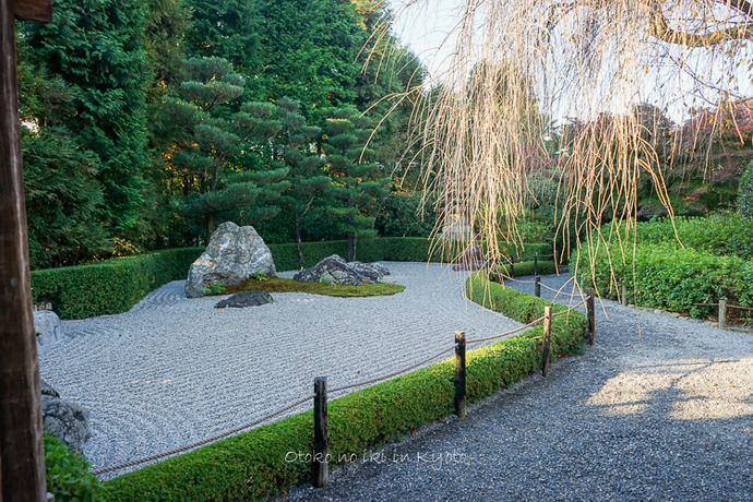1116退蔵院11月-9