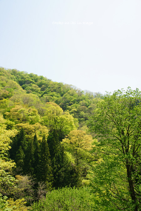 0603-12白山里