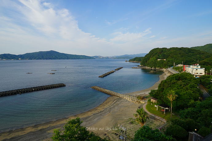 0827答志島RF6月-1