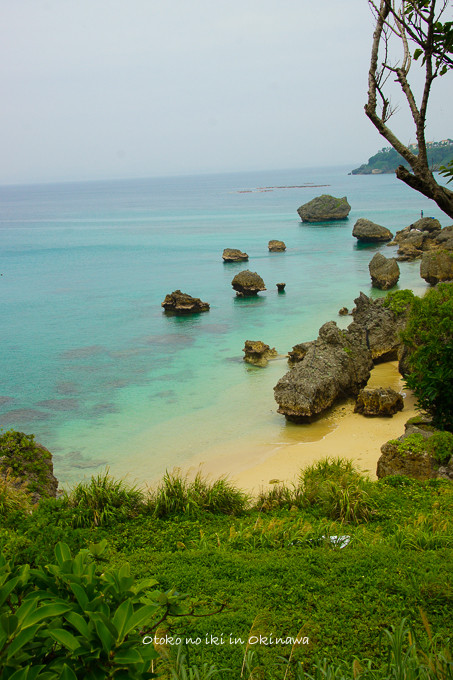 0614海中道路4月-16