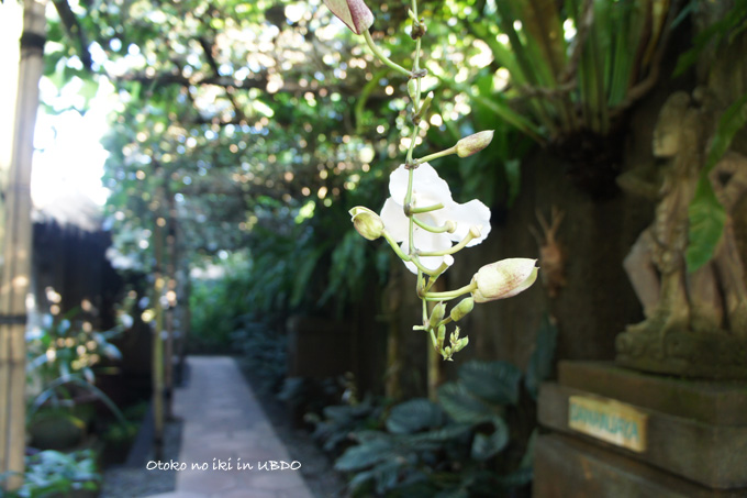 0724-17UBUD