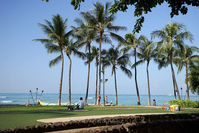 0612Hawaii12月-14