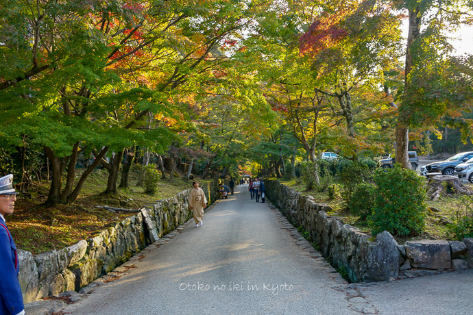 1118_京都2018-15