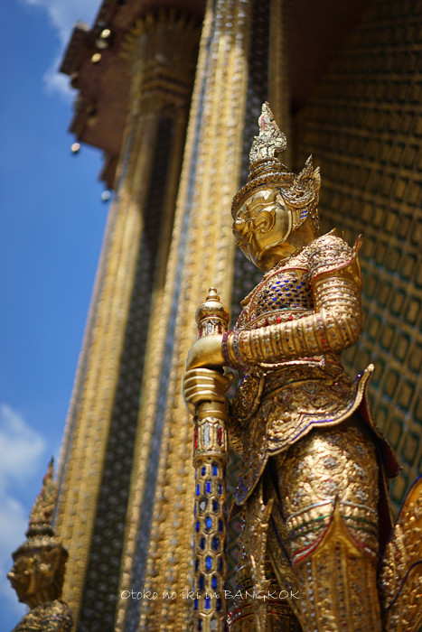 1005Bangkok9·î-113