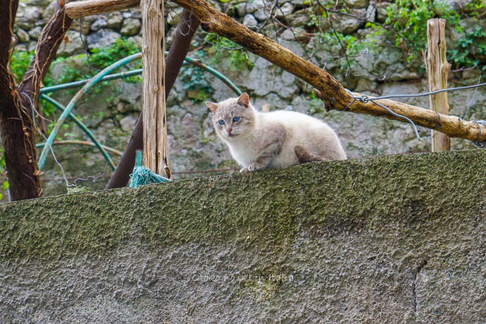 0524Amalfi1月-38