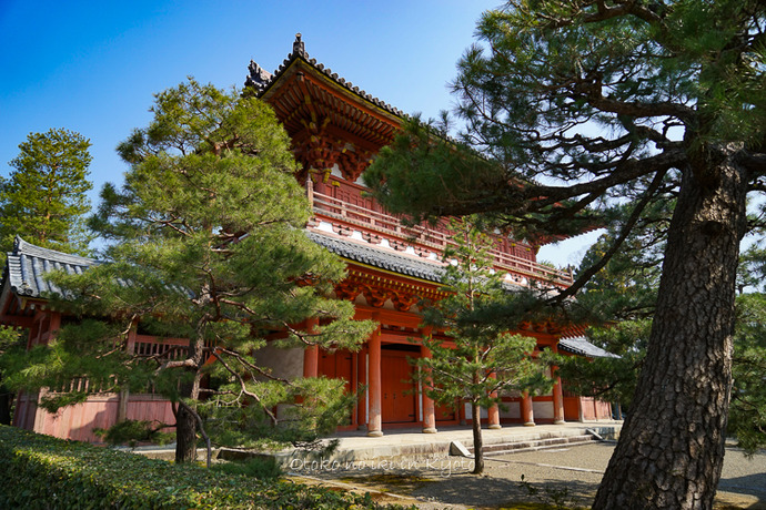 0402京都3月-165