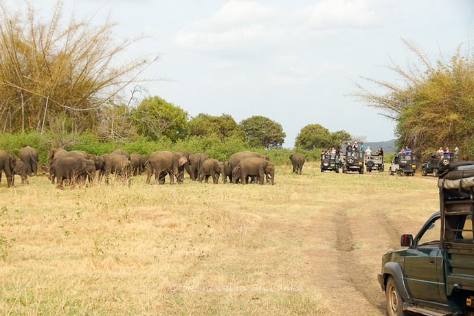 0410Safari9月-13