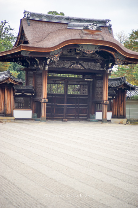 1120仁和寺11月-9