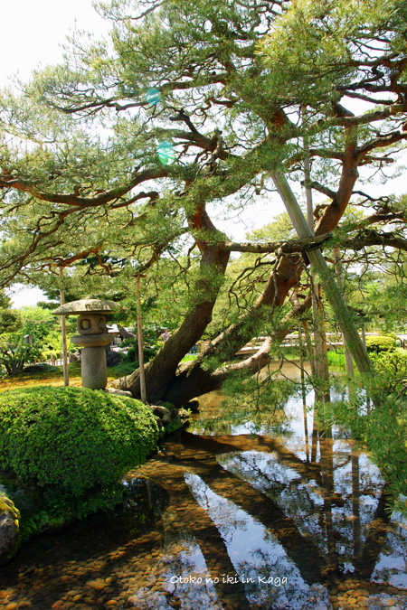 0825-11兼六園