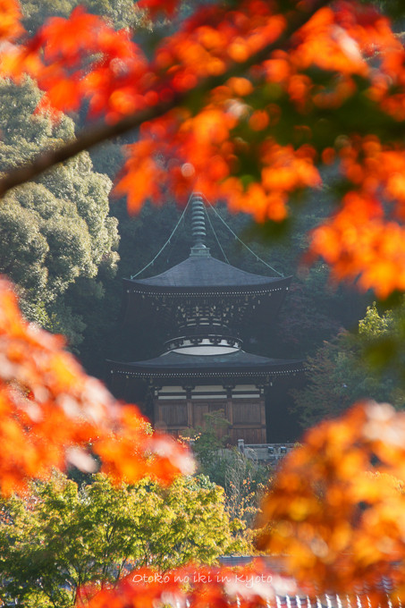 1101永観堂10月-46