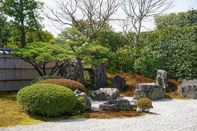 0329京都3月-53
