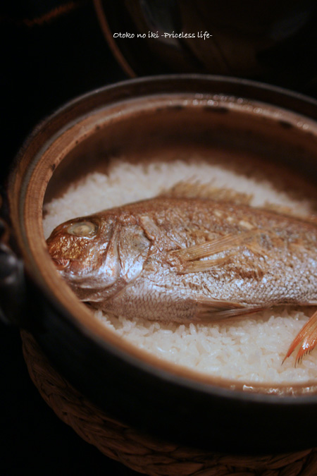 沖縄アダン＊3.5×16個