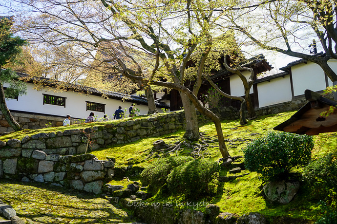 0407京都4月-34