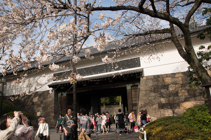 0401HANAMI3月-34