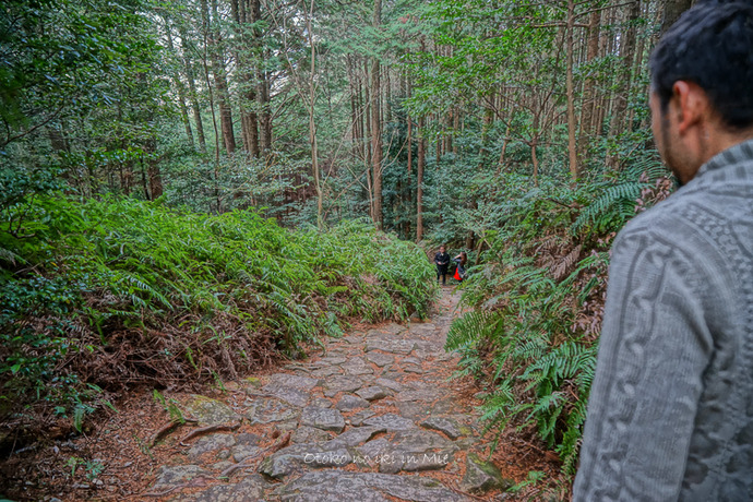 0728松阪城2月-27
