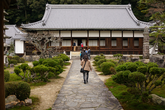 1112京都_2_11月-15