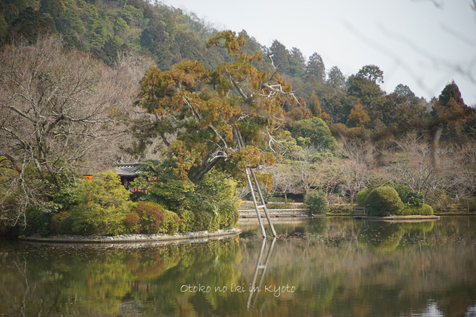 0402京都3月-65