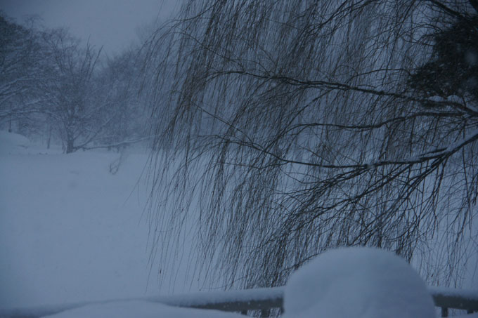 雪景色