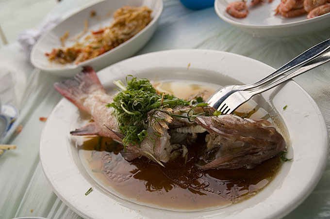 蒸し魚横