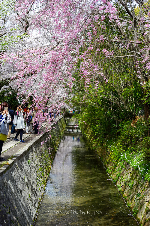 0407京都4月-75