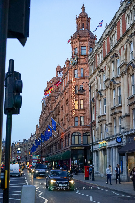0623Galvin4月-1